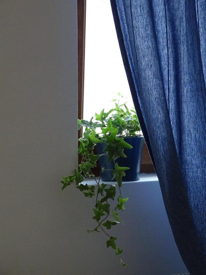 Blue Apartment Beograd Ngoại thất bức ảnh
