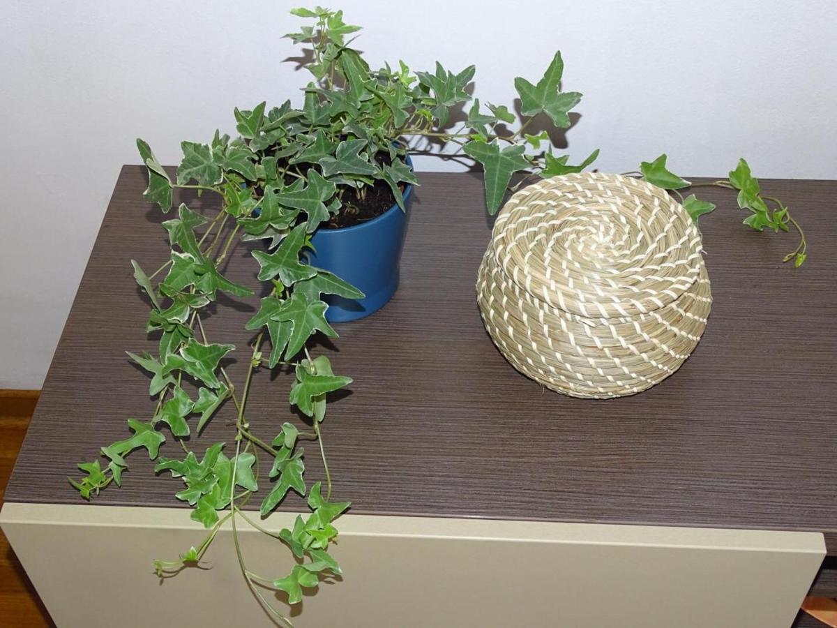 Blue Apartment Beograd Ngoại thất bức ảnh